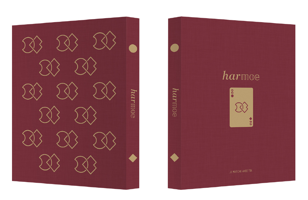 harmoe フォトブック 3種セット harmoe PHOTO BOOK Ⅲ 〜山梨編〜 | きゃにめ